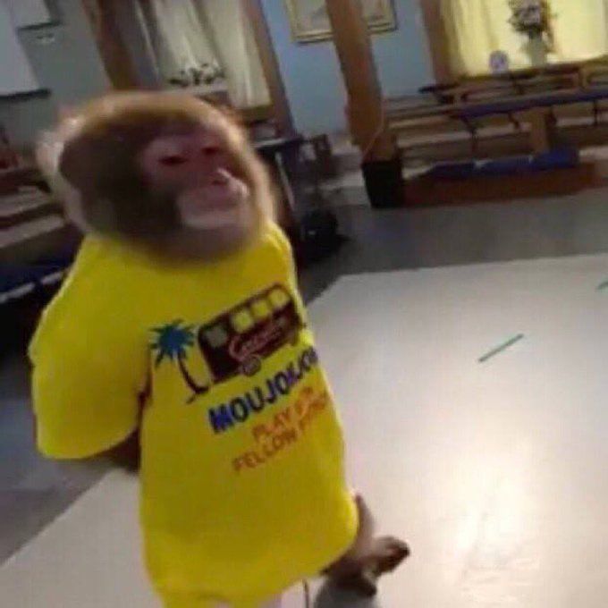 A monkey wearing a cool shirt.