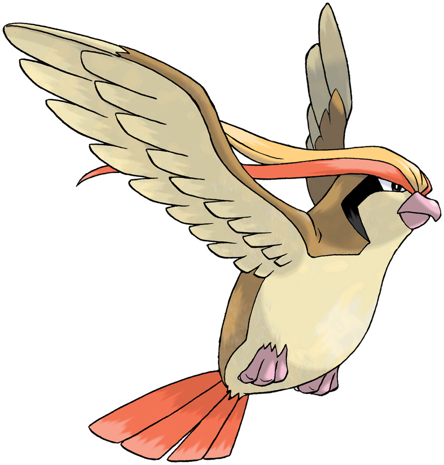 The flying/normal type pokemon Pidgeot